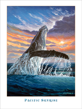 PacificSunrise 263x350 Poster